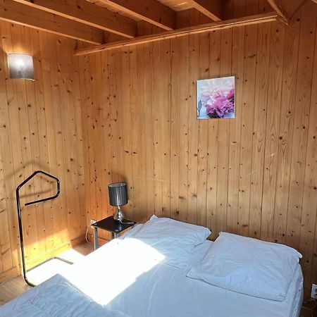 Chalet 4 Pieces A Cabourg Avec Jardin, Proche Piscine Et Tennis, Ideal Pour Familles, 6 Pers. Max - Fr-1-487-325 Eksteriør billede